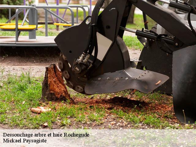 Dessouchage arbre et haie  rochegude-26790 Mickael Paysagiste