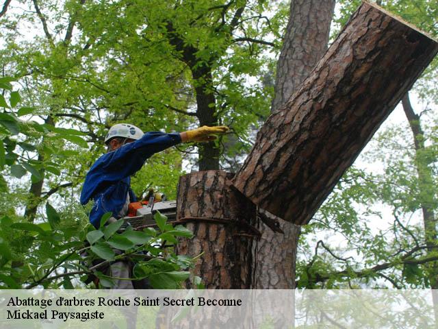 Abattage d'arbres  roche-saint-secret-beconne-26770 Mickael Paysagiste